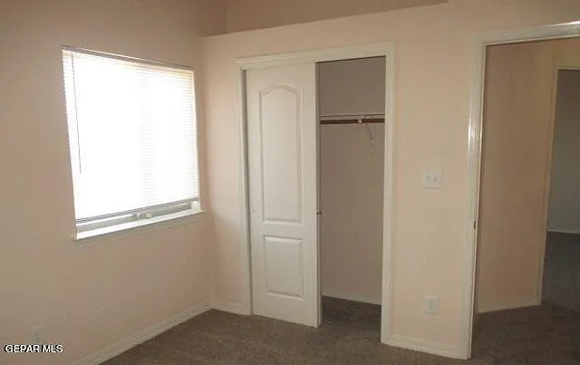 11708 Snow Cloud Ct — Photo 19