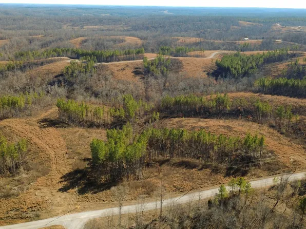 45 Saddleback Dr, Dover, TN 37058