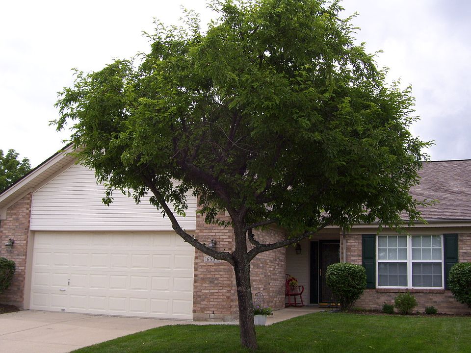 1st image of 6609 Grovebelle Dr
