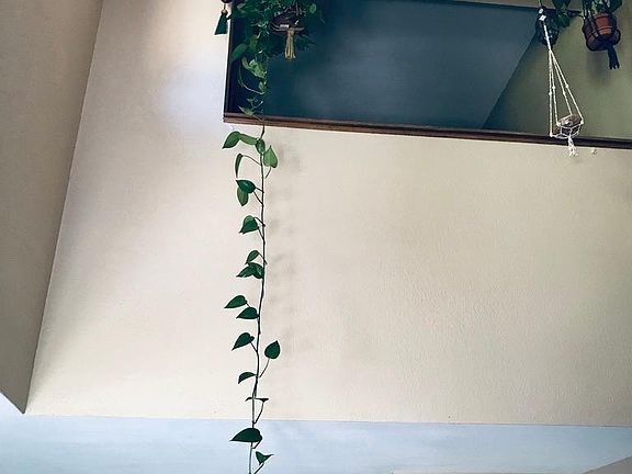 HIGH CEILING IN LIVING ROOM