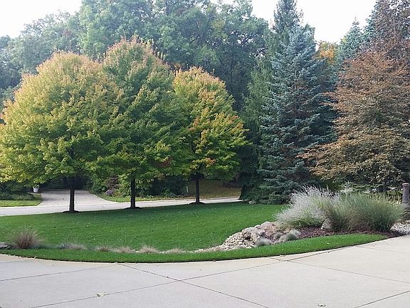 4th image of 411 Woodsedge Ln