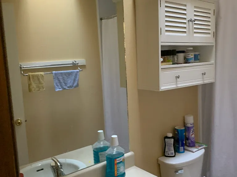 717 E Geneseo St — Photo 18