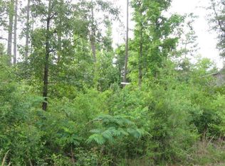 0 E Lakeshore Dr, Carriere, MS 39426
