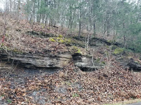 8375 Old Pond Creek Rd, Pegram, TN 37143