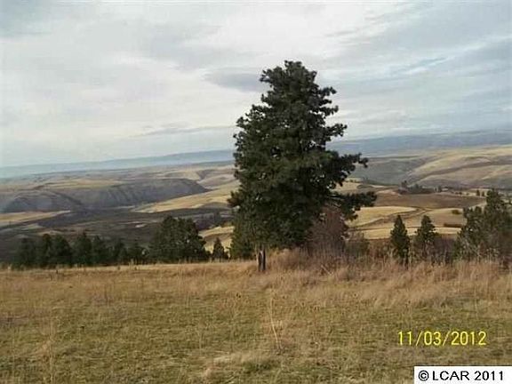 4th image of 33631 Winchester Grade