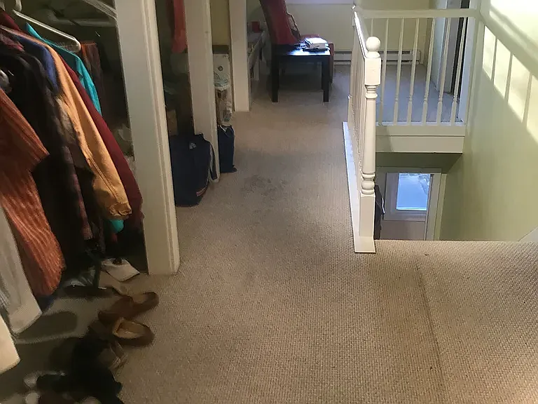 28 Albion St #2 — Photo 24
