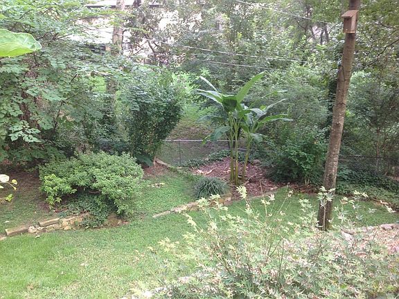 Bannans anyone : Ornimental delights