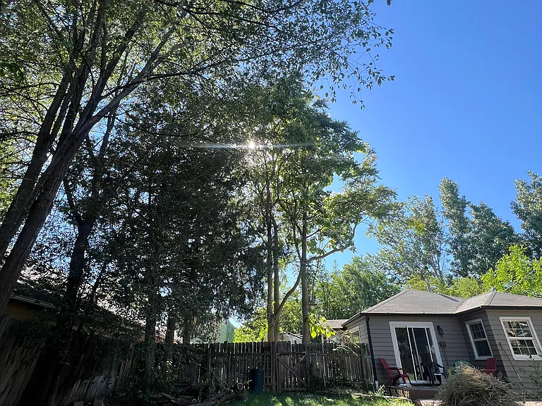 24 S Leona Cir — Photo 18
