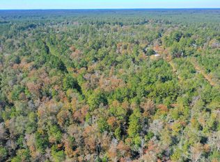 Lilley Rd, Leggett, TX 77351