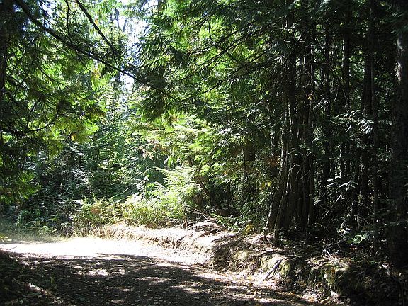 Ridge Path looking South
