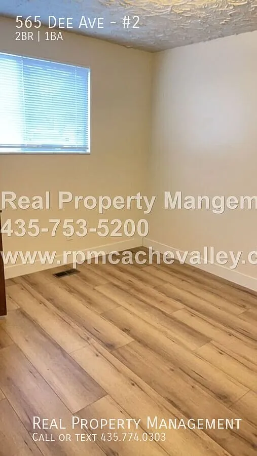 Cute 2 bed/1 bath apartment available in October! — Photo 4