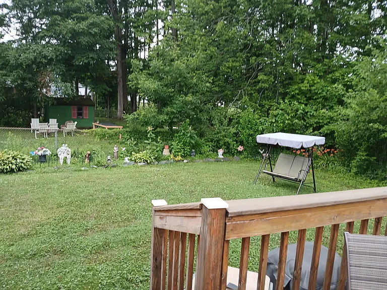 Back yard