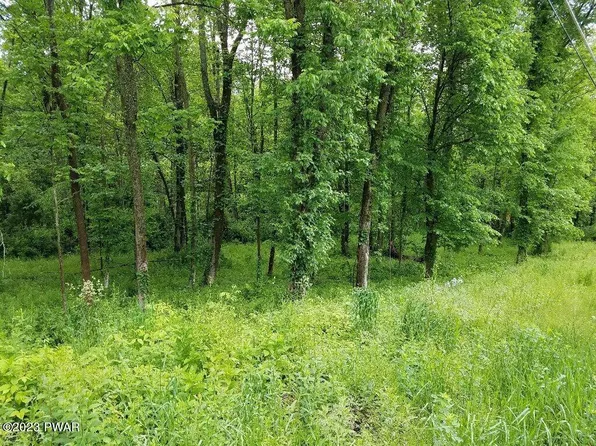 LOT Owego Tpke #A, Honesdale, PA 18431