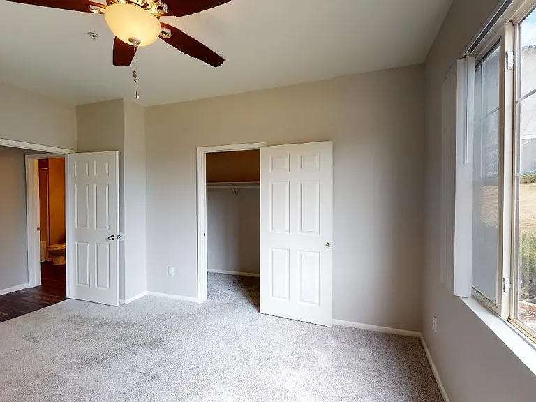 Spacious apartment bedroom with large closet and plush carpet flooring.