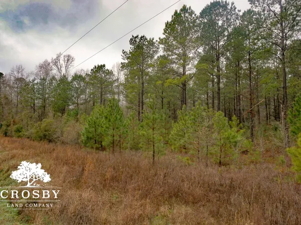 13911 Highway 19, Nichols, SC 29581