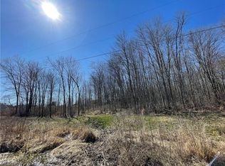 King Graves Rd, Vienna, OH 44473