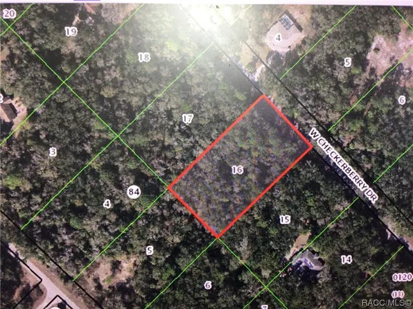 12464 W Checkerberry Dr, Crystal River, FL 34428