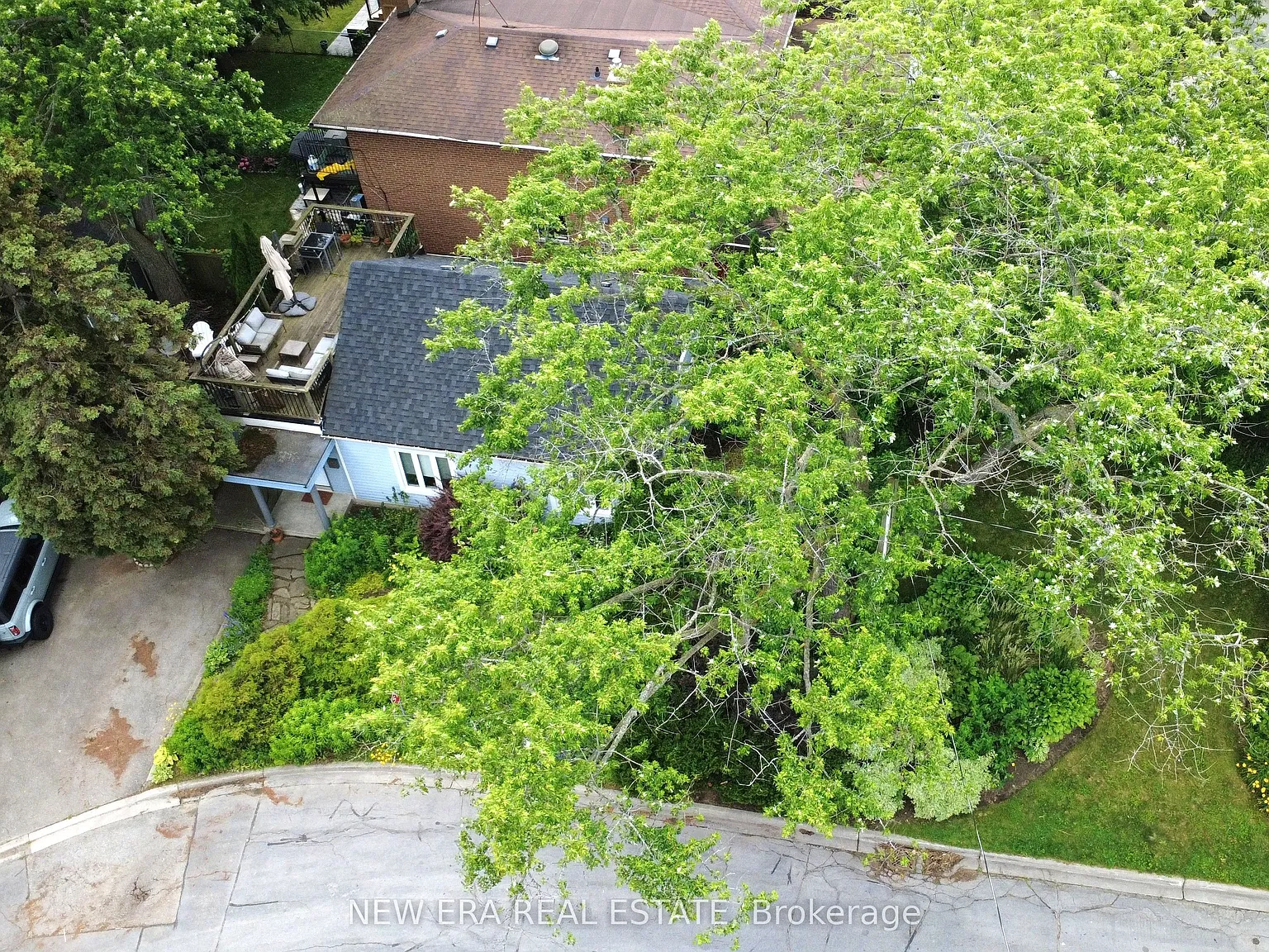 3 bed, $3,600 — Photo 2