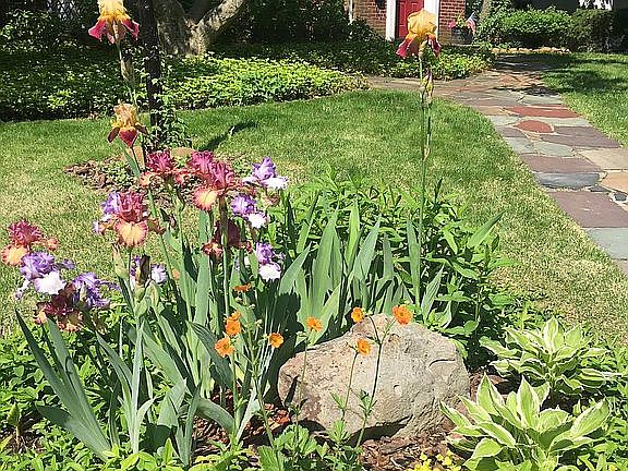 Garden in the spring 