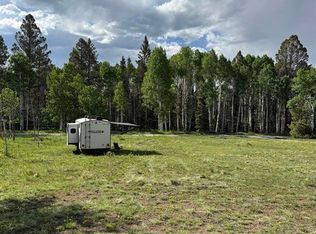 254 Aspen Trail, Cimarron, CO 81220