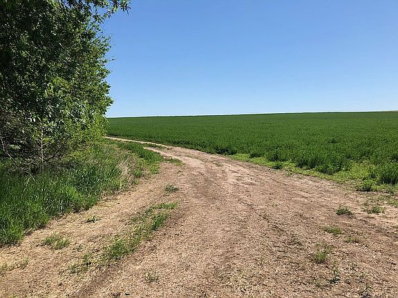 Alfalfa on tillable acres