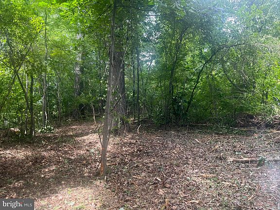 5th image of LOT 492 Sycamore Trl