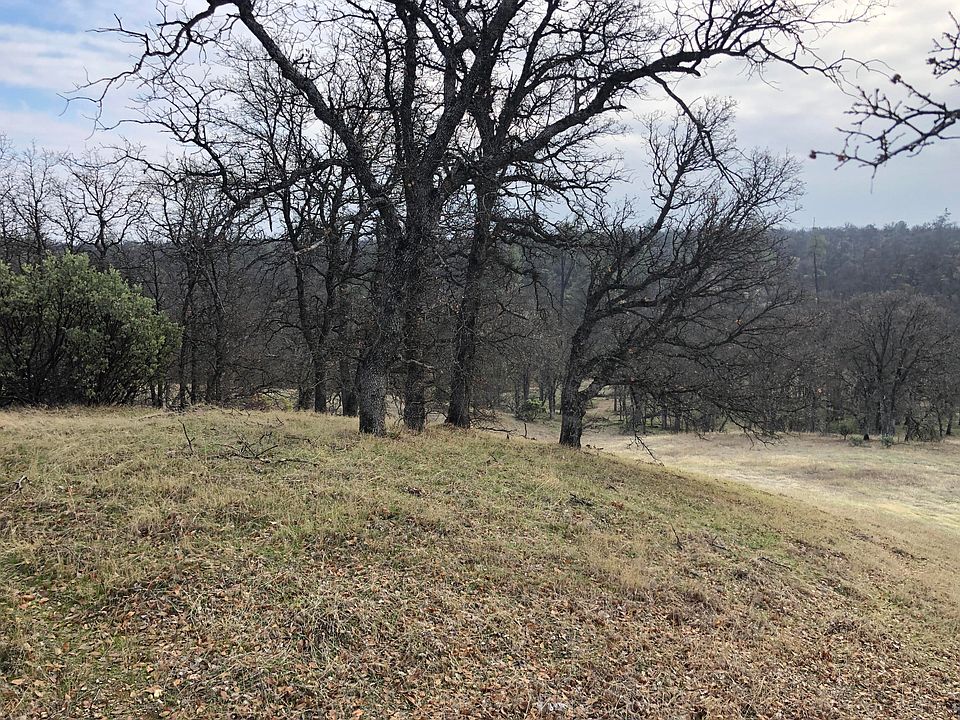 1st image of 63 Little Oak Ln