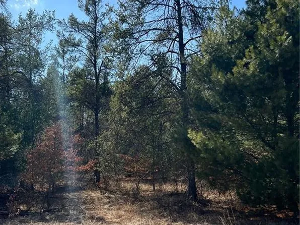 Lot 4 Black Creek Road, Fairchild, WI 54741