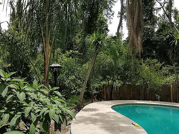 tropical plants