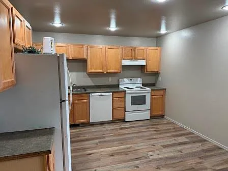 903 Dimaggio Dr — Photo 3