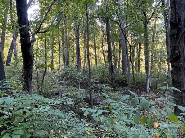 LOT 332/333 Bolt Rd, Lake Lure, NC 28746