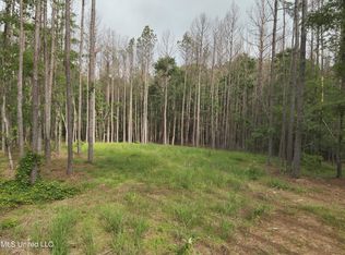 303 Pearl River Church Rd, Madison, MS 39110