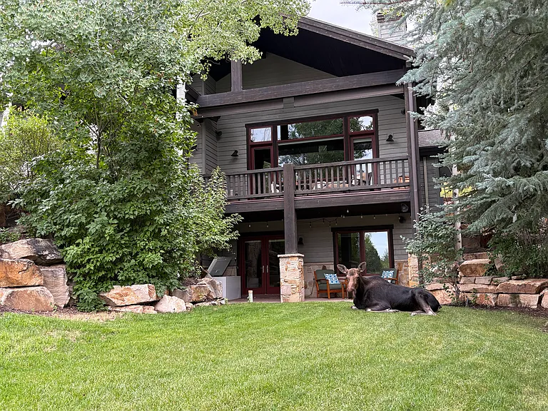2060 Paddington Dr — Photo 3