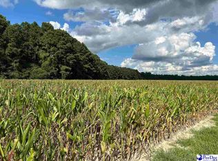 Tbd Judson Rd, Dillon, SC 29536