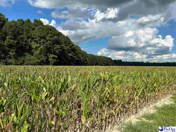 Tbd Judson Rd, Dillon, SC 29536