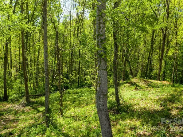 9999 Bee Balm Way #55, Asheville, NC 28804