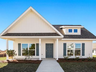 56 Huckleberry St, Freeport, FL, 32439