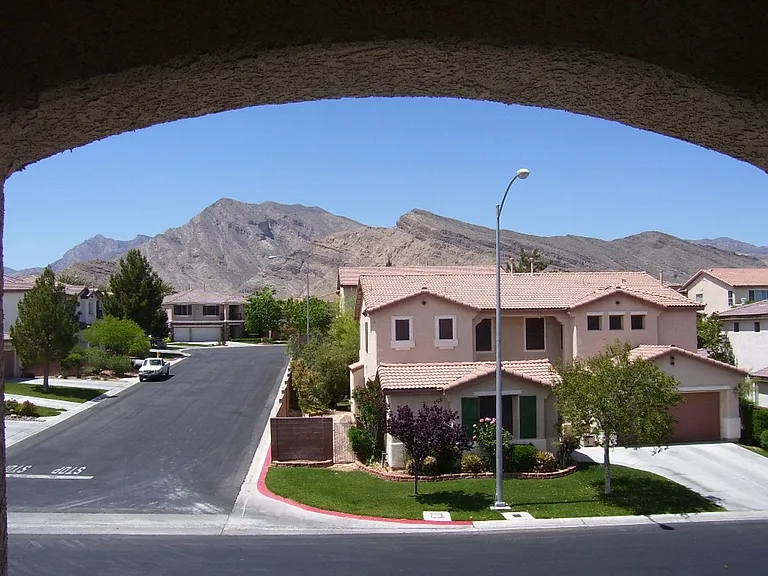 3316 Lacebark Pine St — Photo 27