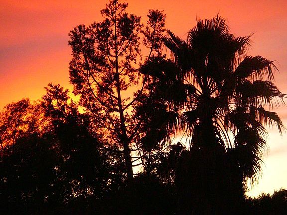 Sunrise from the Deck