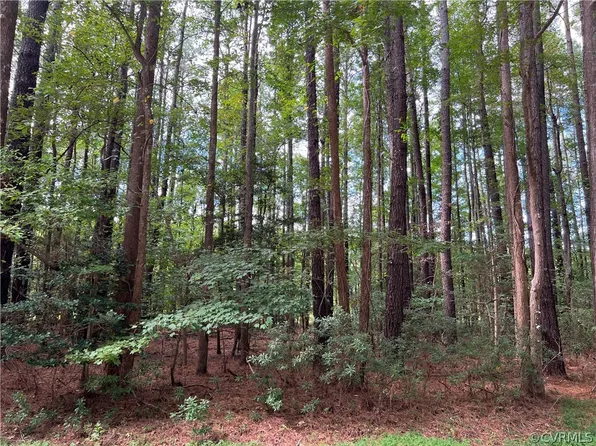 0 Presley Creek Dr #95-I, Heathsville, VA 22473