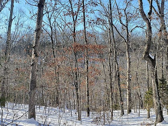 3rd image of 00 Aspen Rd