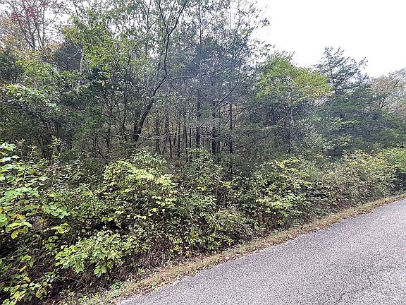 2nd image of Wild Turkey Drive Bloc #17-13