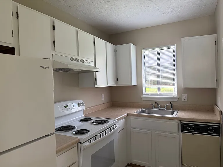 42 Countryplace Ln — Photo 4