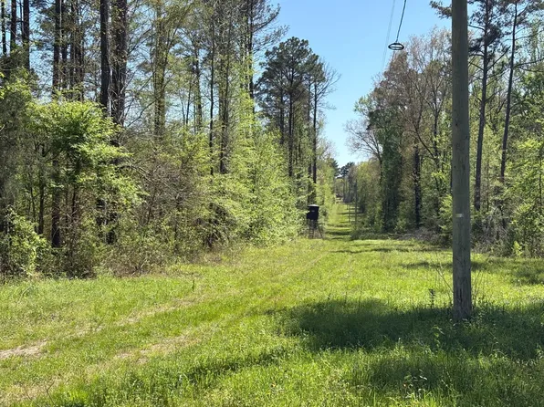 364 County Road 80, Woodland, MS 39776