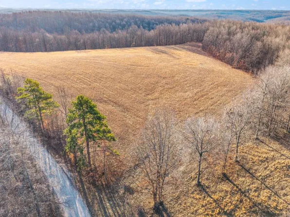 Boone Ridge Rd, Garrison, KY 41141