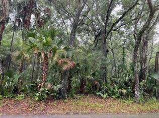 E Ohio Ave, Lake Helen, FL 32744