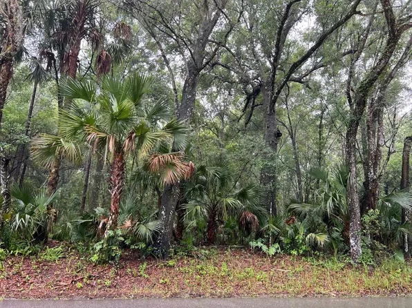 E Ohio Ave, Lake Helen, FL 32744