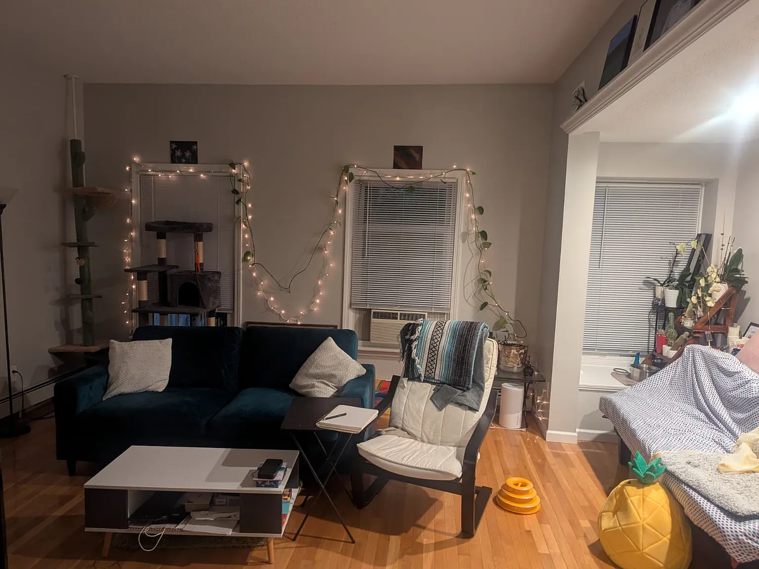1 bed, 800 sqft, $1,695 — Photo 2