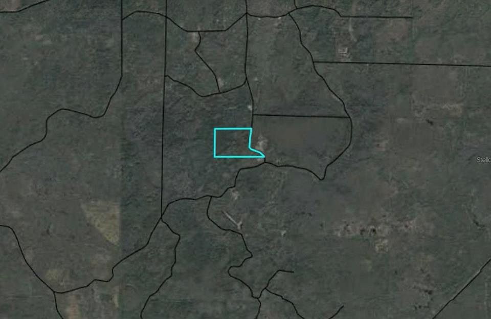 2nd image of Max Rd