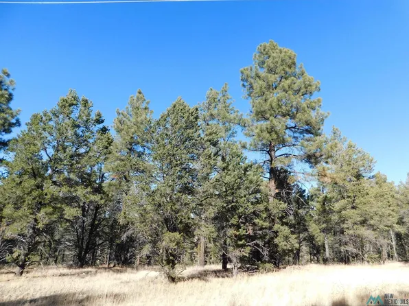 BLOCK Y LOT 6 Paradise Loop, Quemado, NM 87829